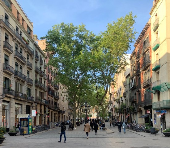 Passeig del Born